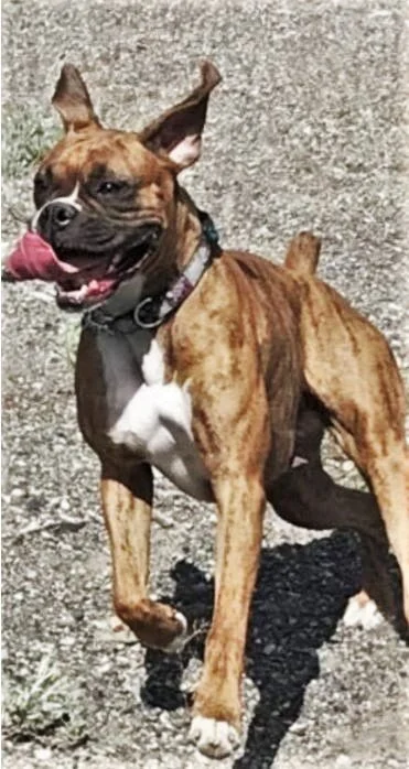 HAPPY ENDINGS - PEACHLAND BC - VERA - AUG 23, 2021