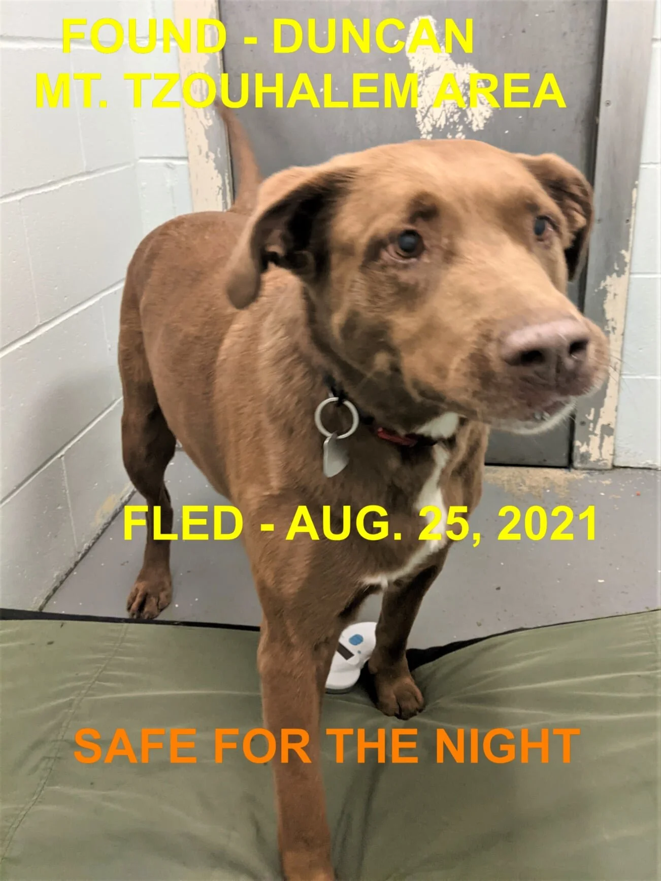 HAPPY ENDINGS - DUNCAN BC - AUG. 25, 2021