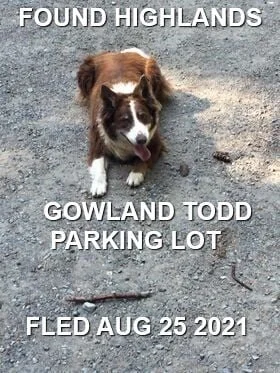 HAPPY ENDINGS - HIGHLANDS BC -  AUG. 25, 2021