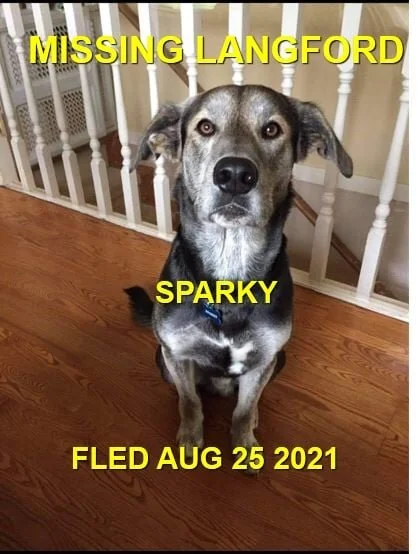 HAPPY ENDINGS -  LANGFORD BC - SPARKY - AUG. 25, 2021