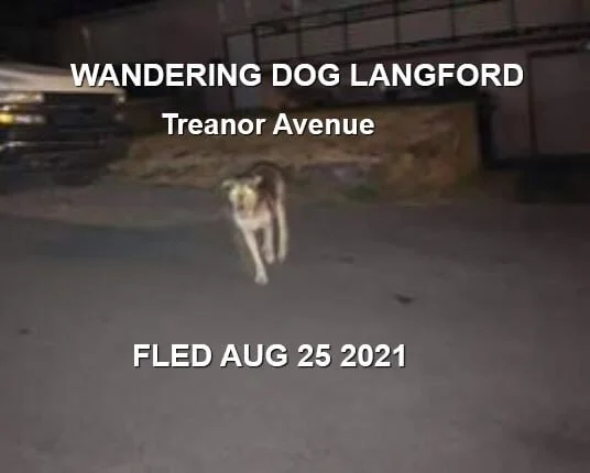UNRESOLVED - LANGFORD - AUG. 25, 2021
