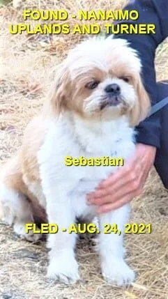 HAPPY ENDINGS - NANAIMO BC. - AUG 23, 2021