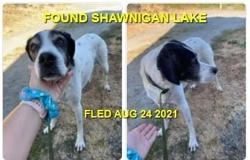 HAPPY ENDINGS - DUNCAN BC. - AUG 24, 2021