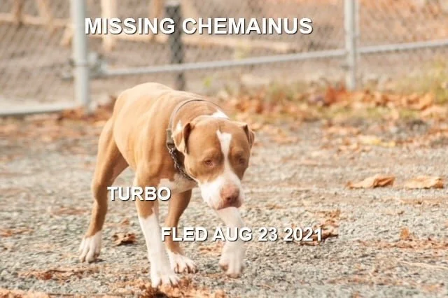 HAPPY ENDINGS - CHEMAINUS BC - TURBO - AUG 23, 2021