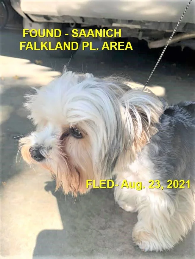 HAPPY ENDING - SAANICH BC. - AUG. 23, 2021