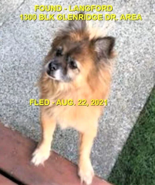 HAPPY ENDINGS - LANGFORD BC. - GRIZZLY - AUG. 22, 2021