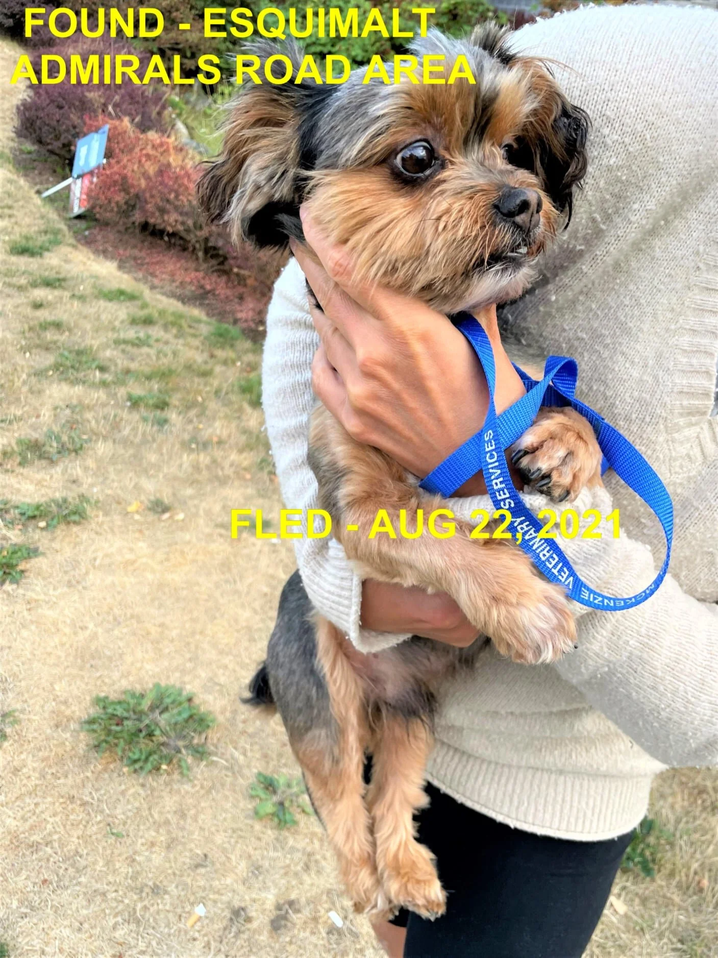 HAPPY ENDINGS - ESQUIMALT BC - OCHO - AUG. 22, 2021