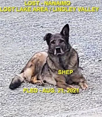 HAPPY ENDINGS - NANAIMO BC. - SHEP - AUG 22, 2021