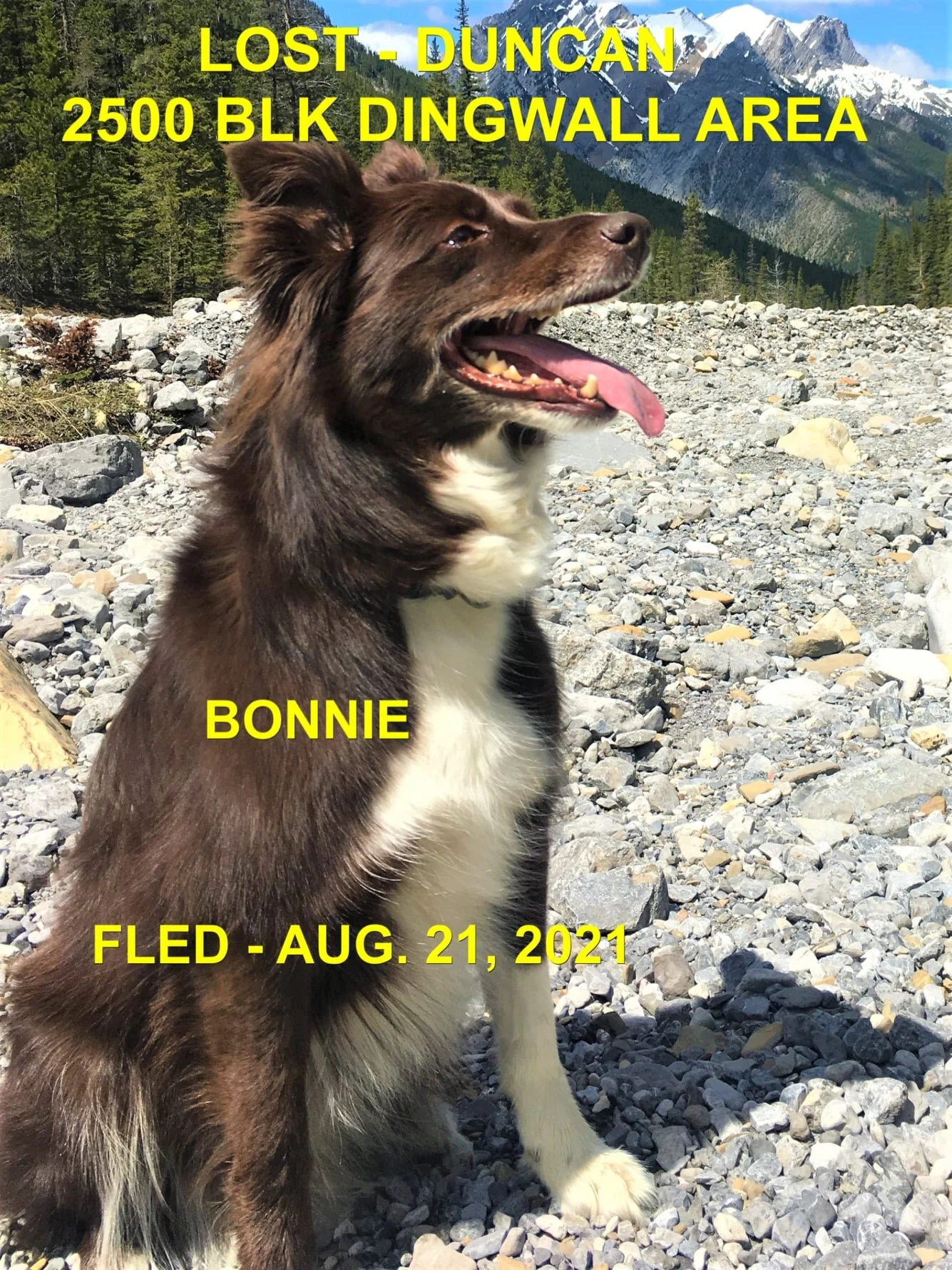 HAPPY ENDINGS - DUNCAN BC. - BONNIE - AUG. 21, 2021