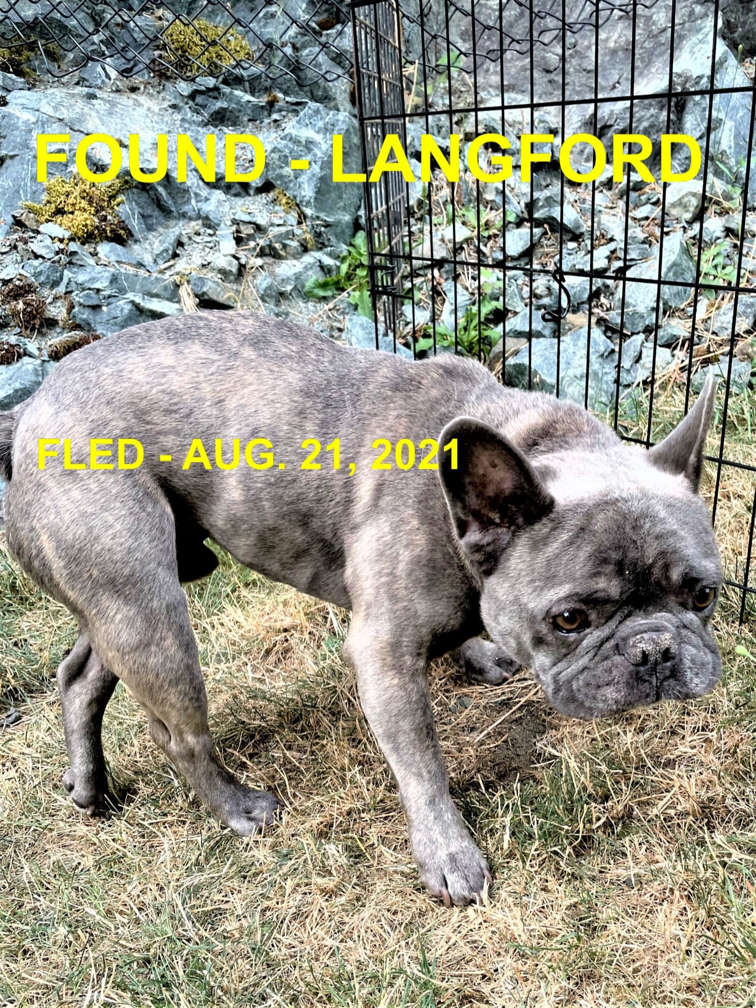 HAPPY ENDINGS - LANGFORD BC - ERI - AUG. 21, 2021