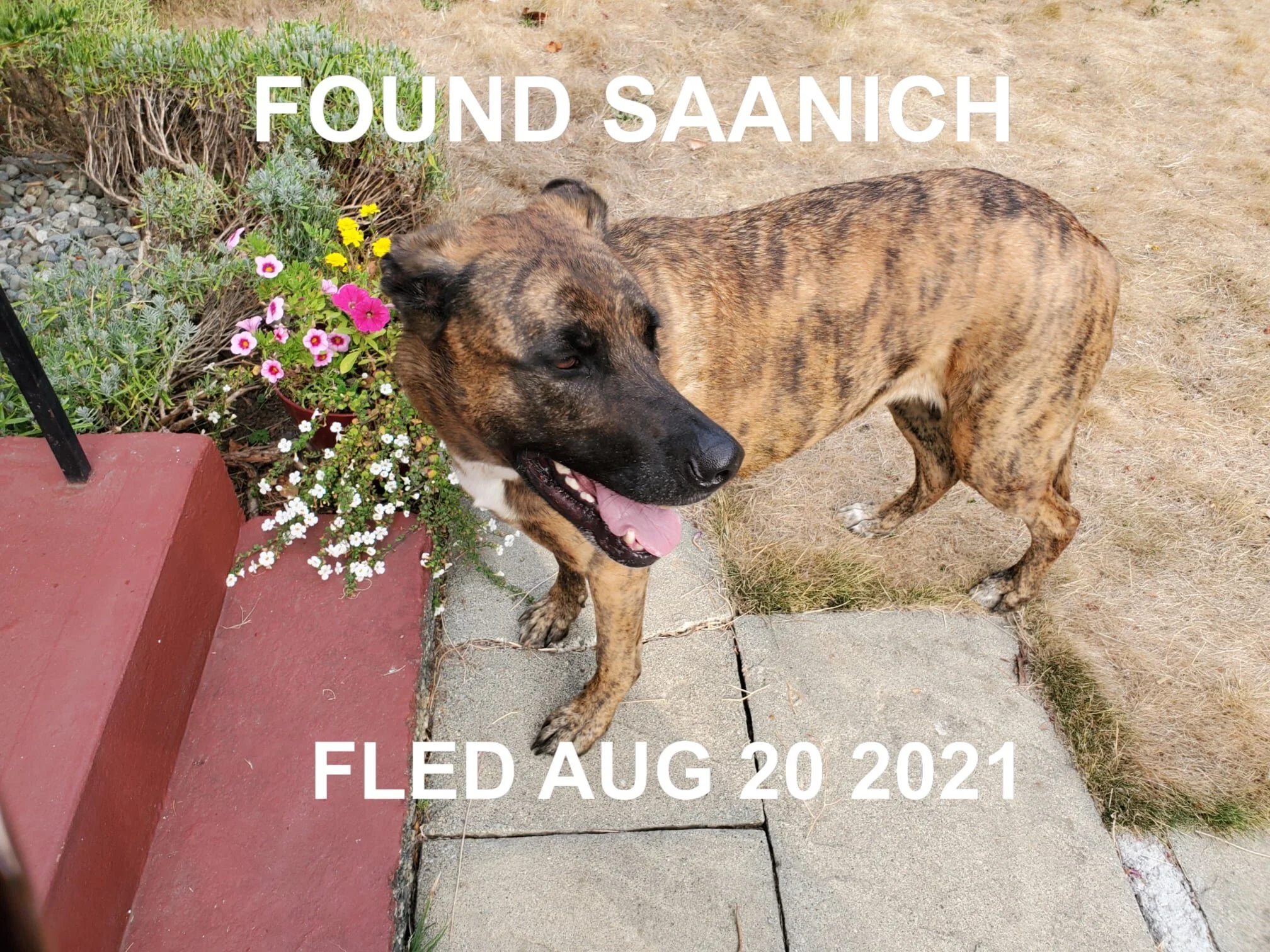 HAPPY ENDINGS - SAANICH BC. -AUG. 20, 2021