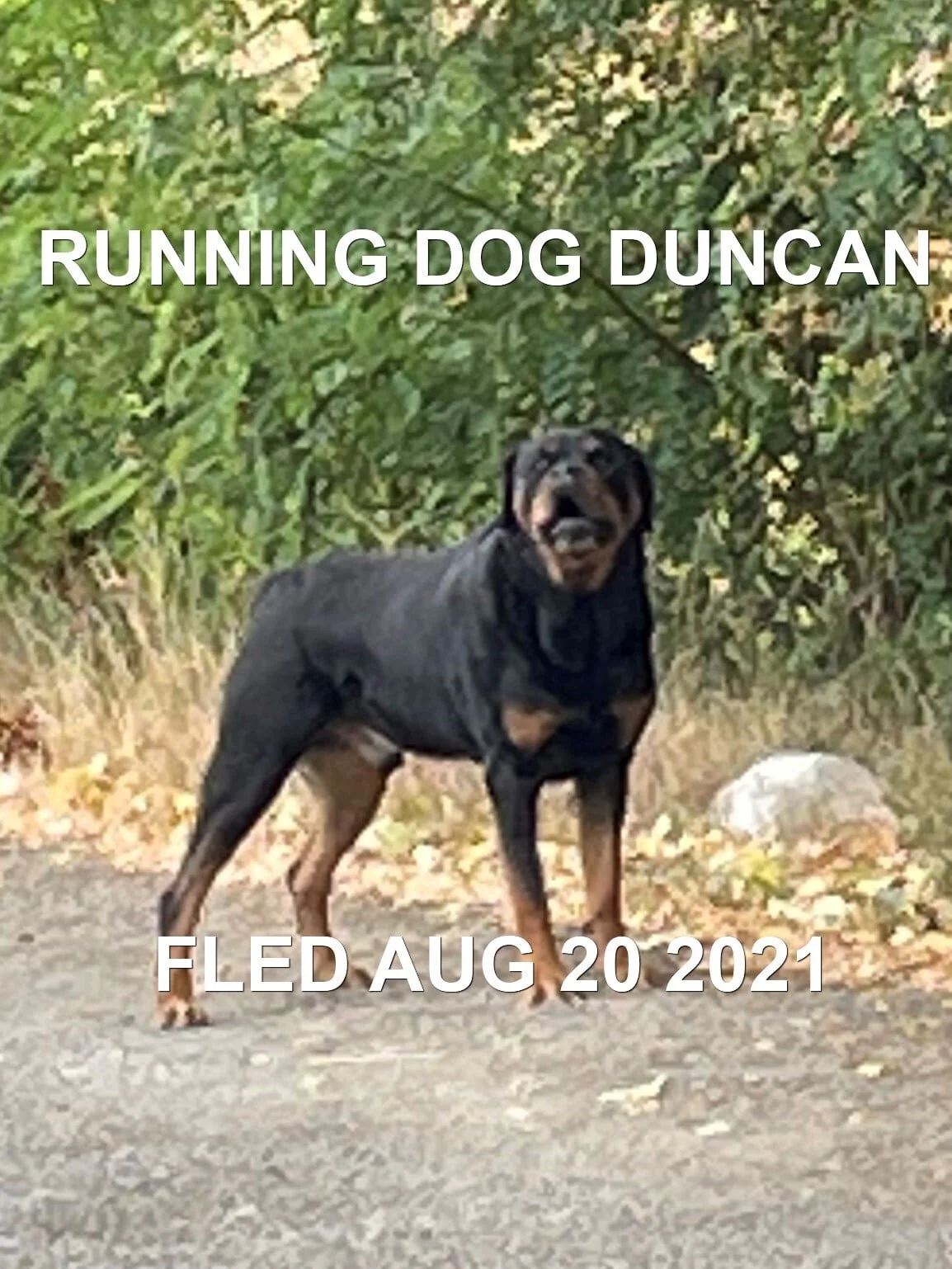 HAPPY ENDINGS -  DUNCAN BC. AUG 20, 2021
