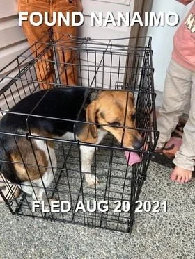 HAPPY ENDINGS - NANAIMO BC. - LUCY - AUG. 20, 2021