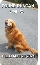 HAPPY ENDINGS -  DUNCAN BC. - AUG. 20, 2021