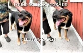 HAPPY ENDINGS - SOOKE BC. - AUG. 20, 2021