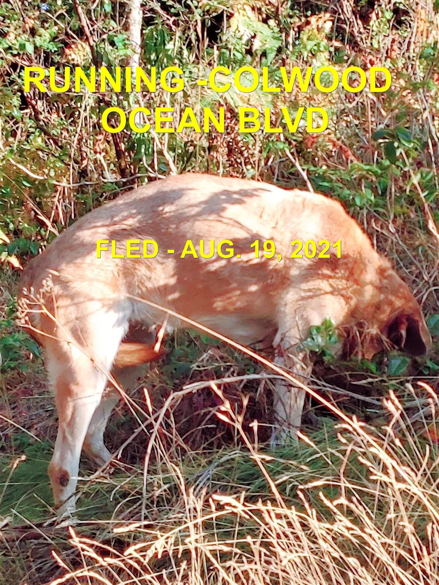 UNRESOLVED - COLWOOD - AUG. 19, 2021