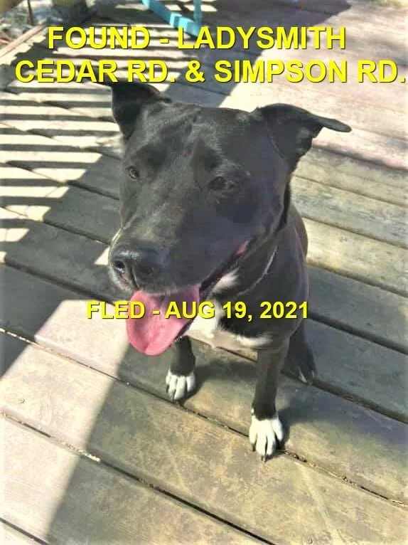 GONE TO SHELTER - DUNCAN BC -  AUG. 19, 2021