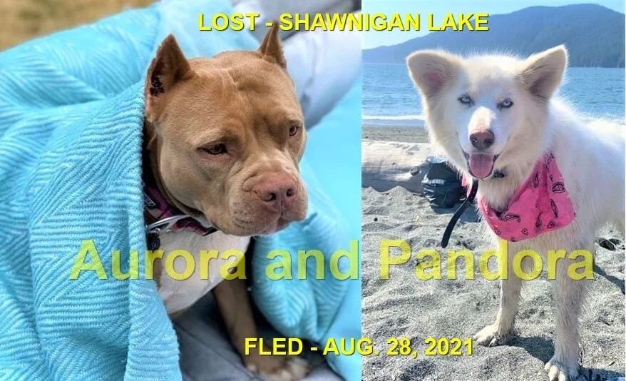 HAPPY ENDINGS - SHAWNIGAN LAKE BC. - AUG. 28, 2021