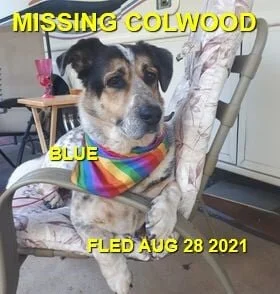 HAPPY ENDINGS - COLWOOD BC - BLUE - AUG 28, 2021