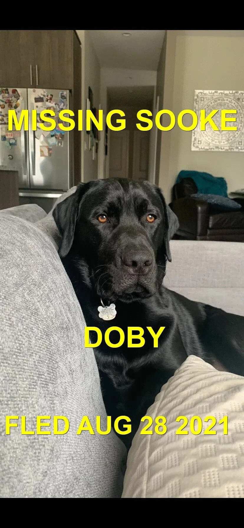HAPPY ENDINGS - SOOKE BC. - DOBY - AUG. 28, 2021