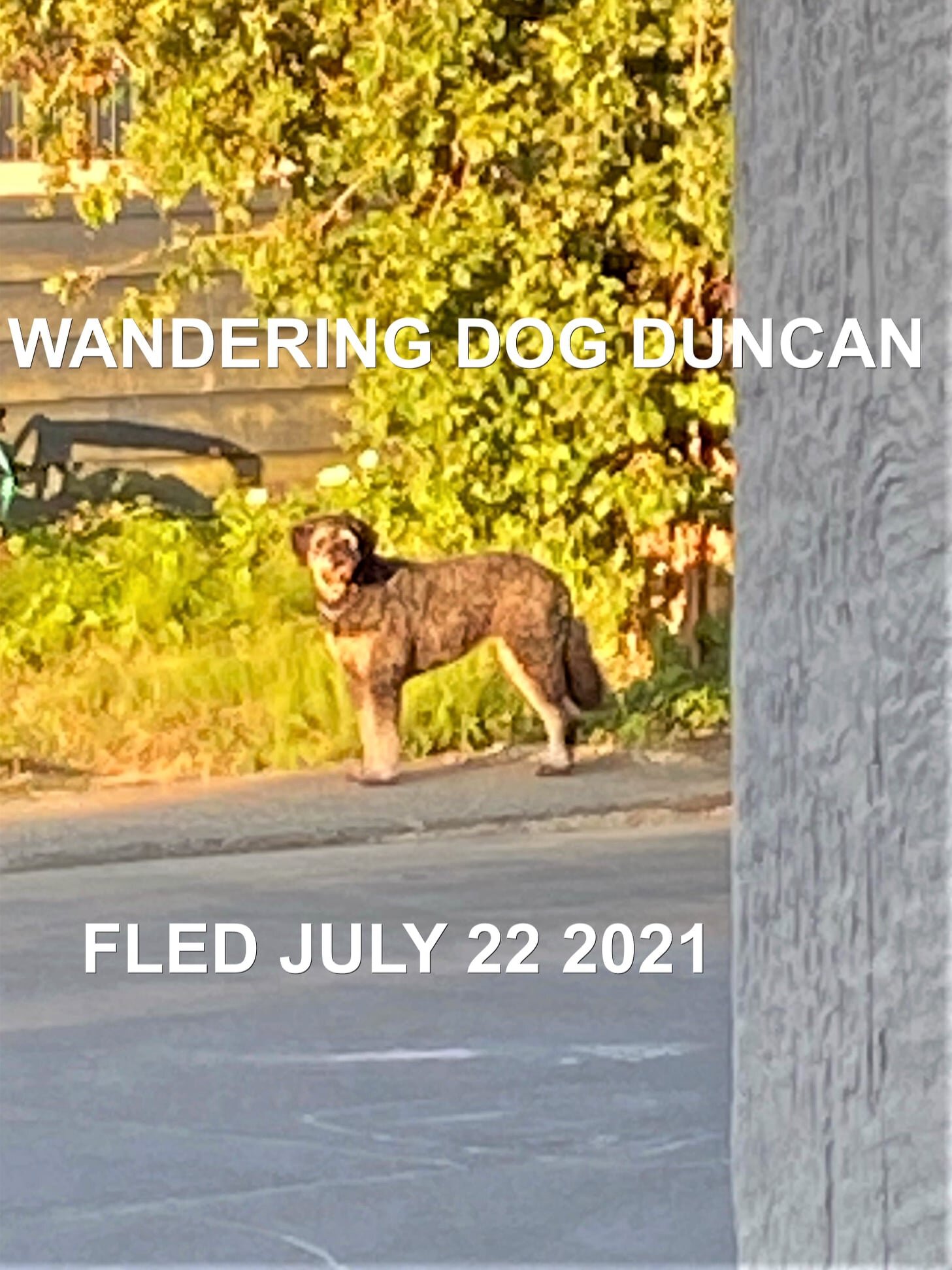 UNRESOLVED - DUNCAN BC. - JULY 22, 2021