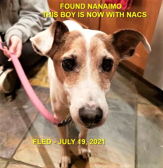GONE TO SHELTER - NACS - NANAIMO BC - JULY 18, 2021