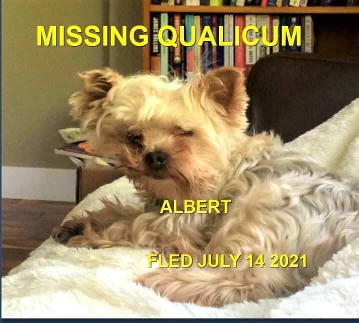 OVER THE RAINBOW BRIDGE - PARKSVILLE BC - ALBERT - JULY 14, 2021