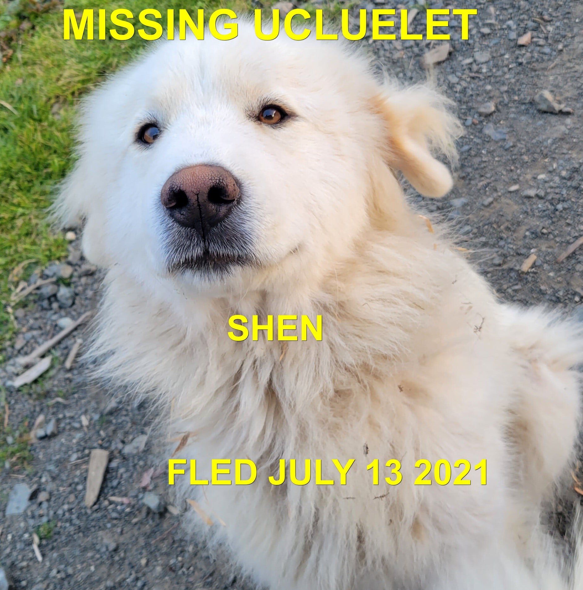 STILL MISSING / STOLEN - UCLUELET BC - JUNE 26, 2021