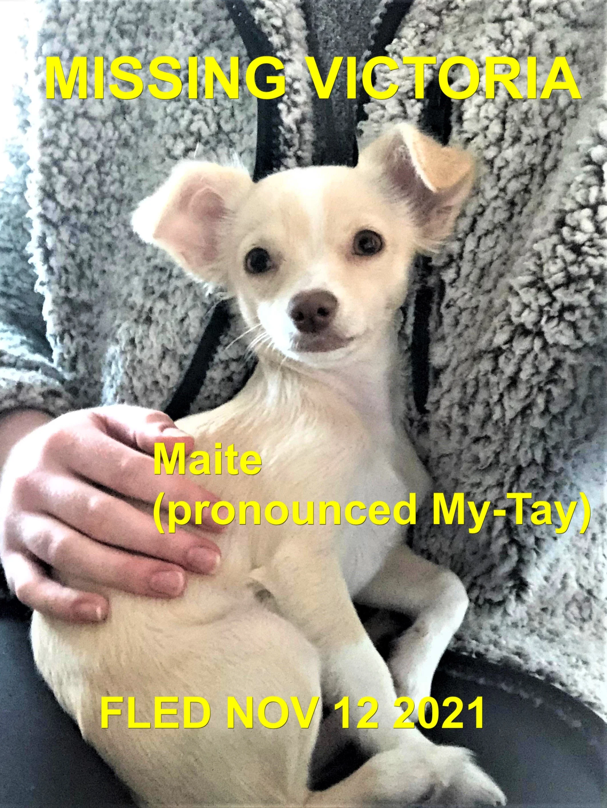 HAPPY ENDINGS - VICTORIA BC - MAITE / NOVEMBER 12,  2021