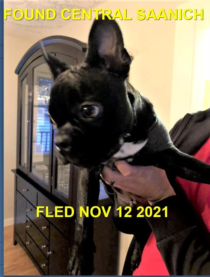 HAPPY ENDINGS - CENTRAL SAANICH BC - NOVERMBER 12, 2021