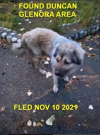 HAPPY ENDINGS - DUNCAN BC - NOVEMBER 11, 2021