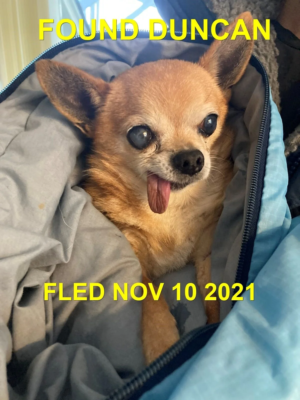 HAPPY ENDINGS - DUNCAN BC - NOVEMBER 11, 2021