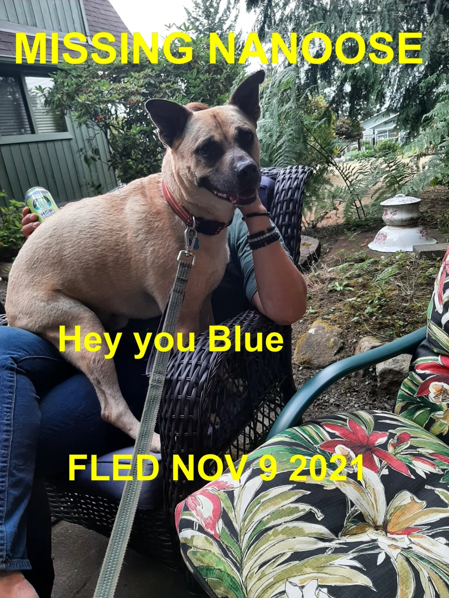 HAPPY ENDINGS - NANOOSE BAY BC - NOVEMBER 9, 2021