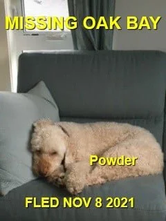 HAPPY ENDINGS - OAK BAY BC. - POWDER - NOVEMBER 8, 2021