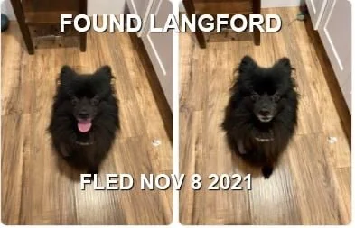 HAPPY ENDINGS - LANGFORD BC - KEVIN - NOVEMBER 8, 2021