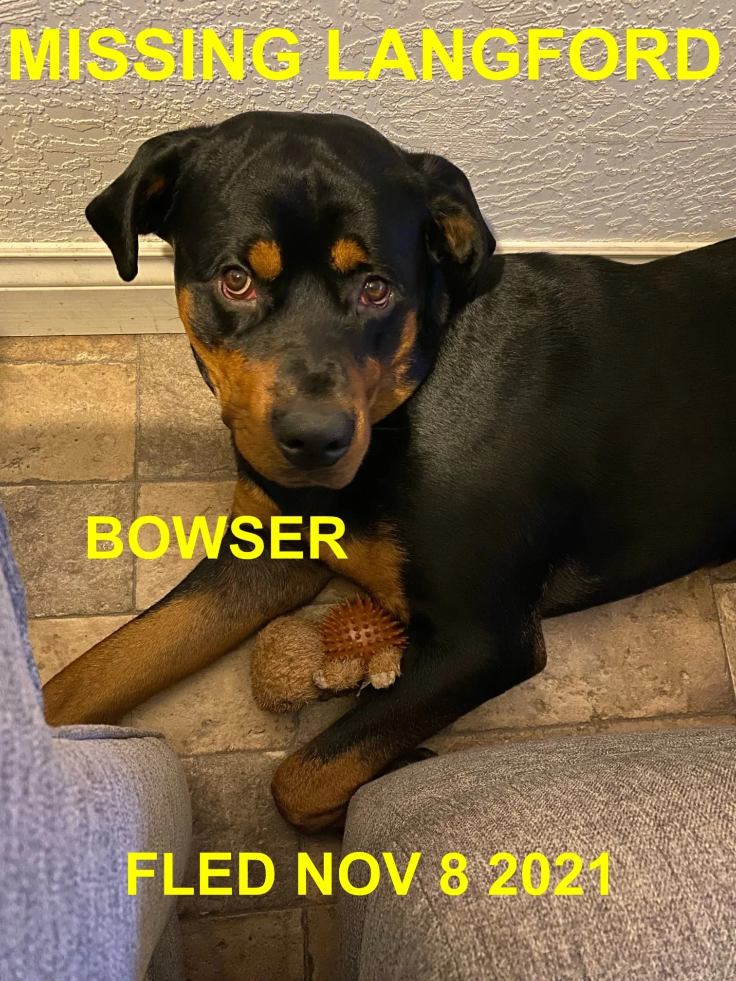 HAPPY ENDINGS - LANGFORD BC - BOWSER - NOVEMBER 8, 2021