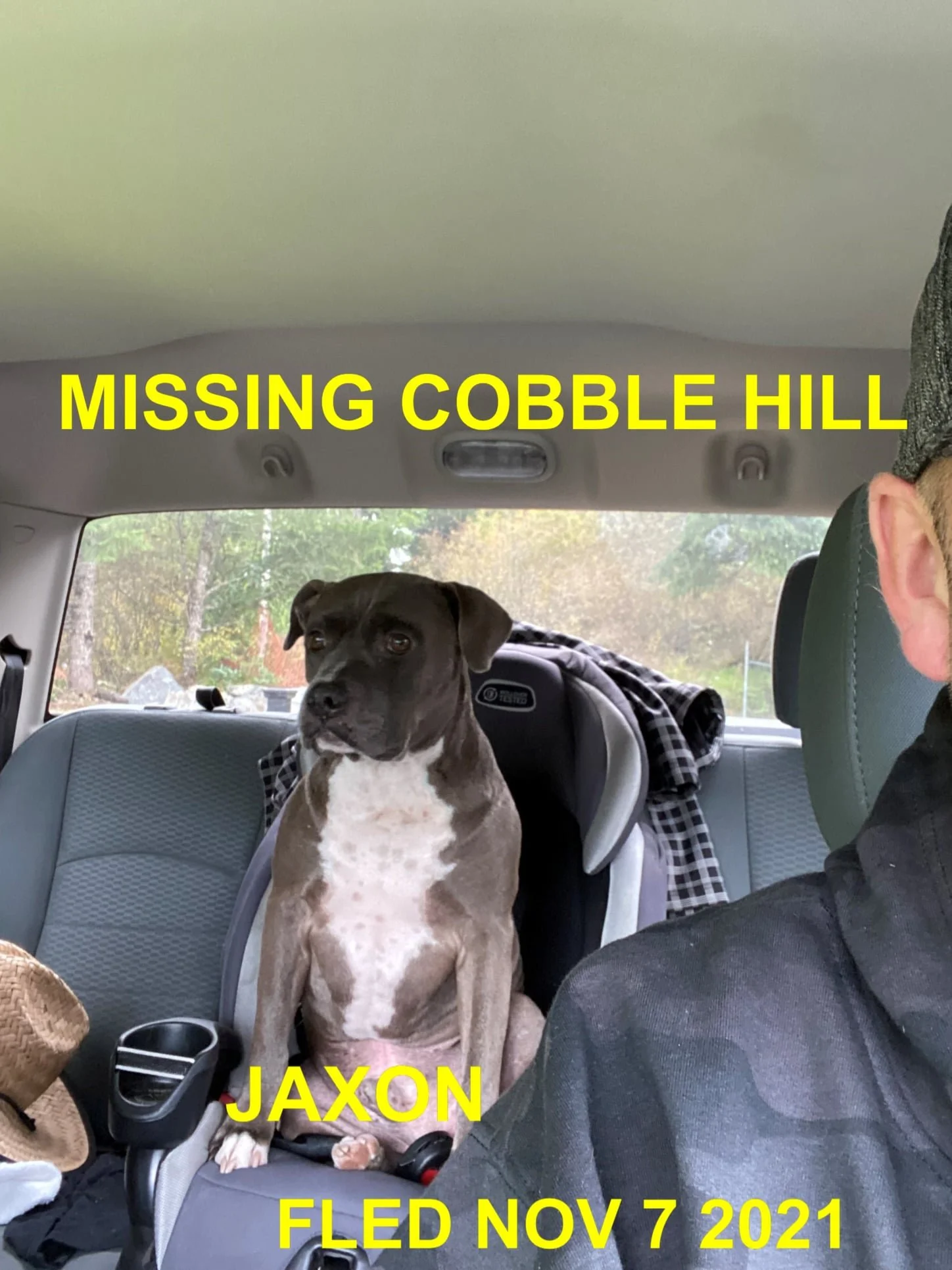 HAPPY ENDINGS - COBBLE HILL BC - JAXON - NOVEMBER 7, 2021