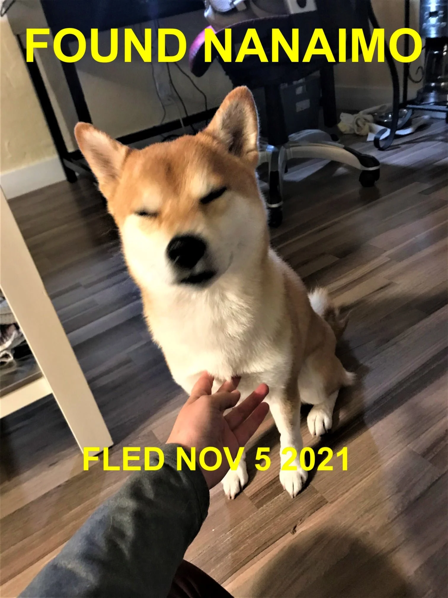 HAPPY ENDINGS - NANAIMO BC. - NOVEMBER 5, 2021