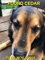 HAPPY ENDINGS - CEDAR BC. - NELSON - NOV. 5, 2021