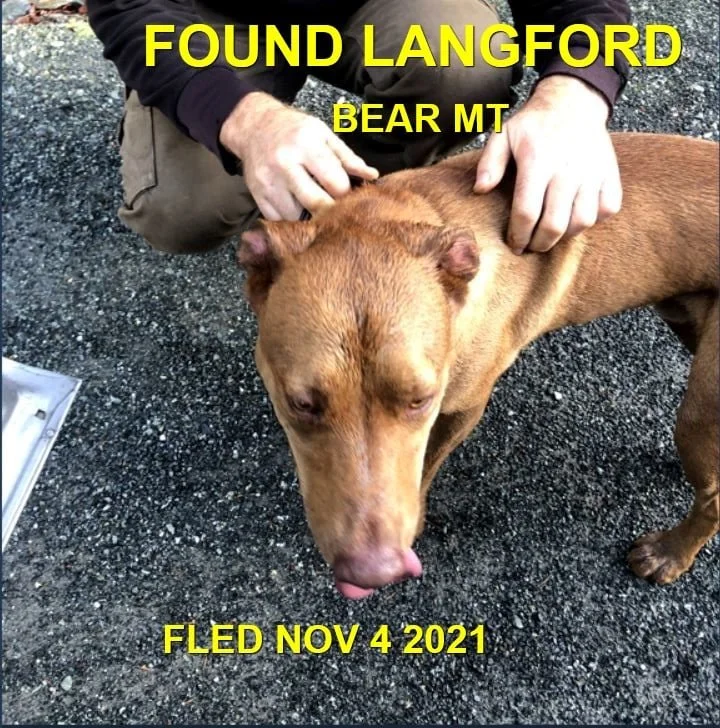 HAPPY ENDINGS - LANGFORD BC - NOV. 4, 2021