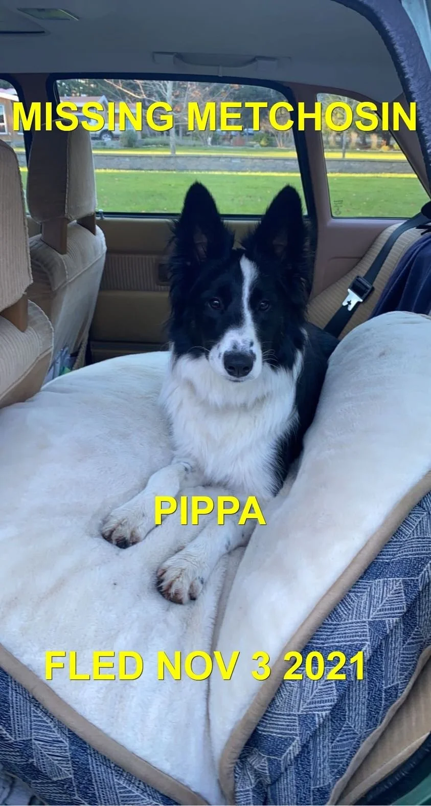 HAPPY ENDINGS - METCHOSIN BC. - PIPPA - NOV. 3, 2021