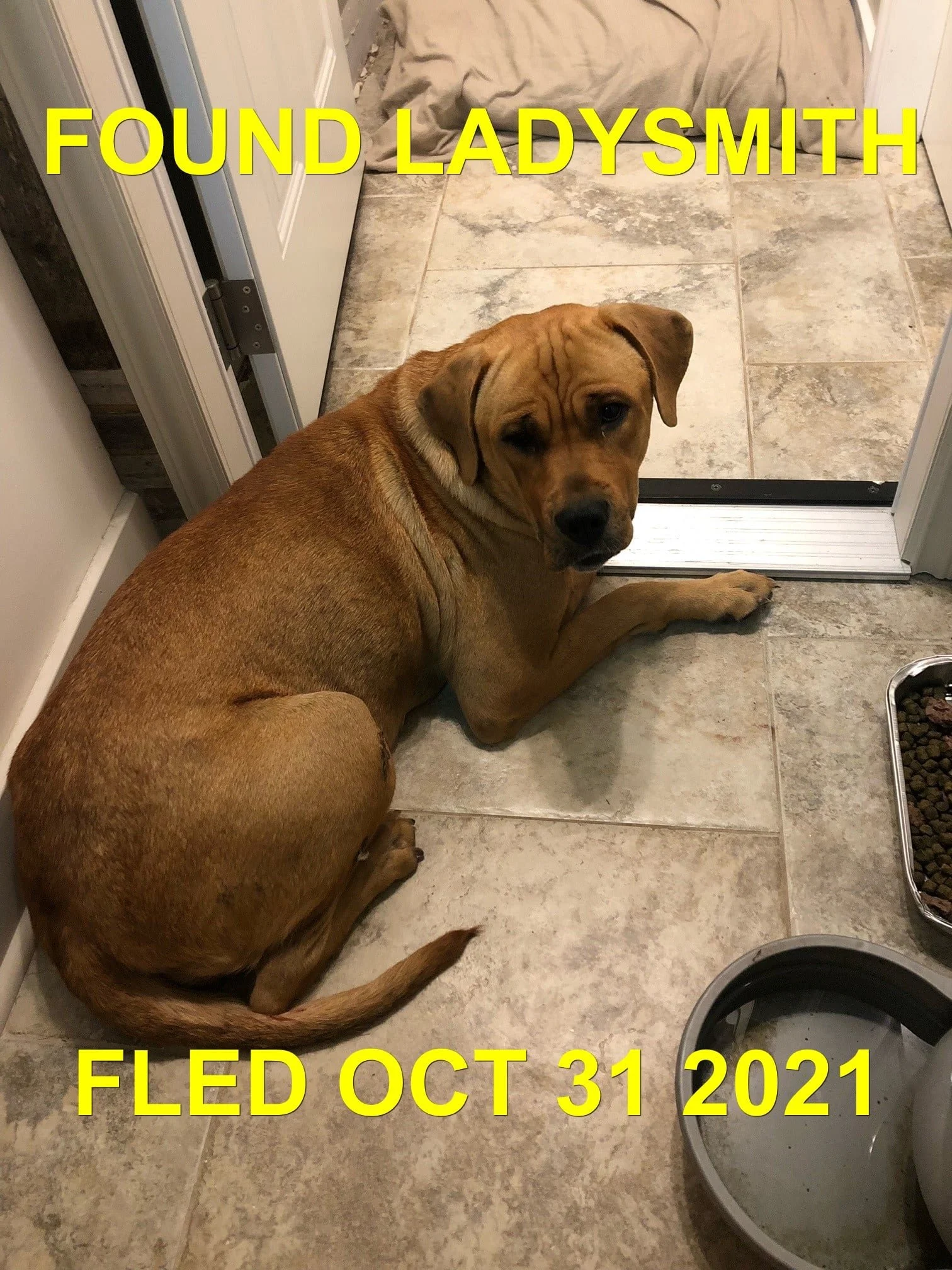 HAPPY ENDINGS - LADYSMITH BC. - OCT. 31, 2021