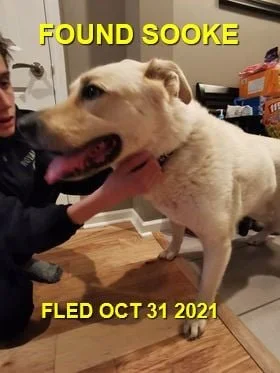 HAPPY ENDINGS - SOOKE BC. - ARCHIE - OCT. 31, 2021