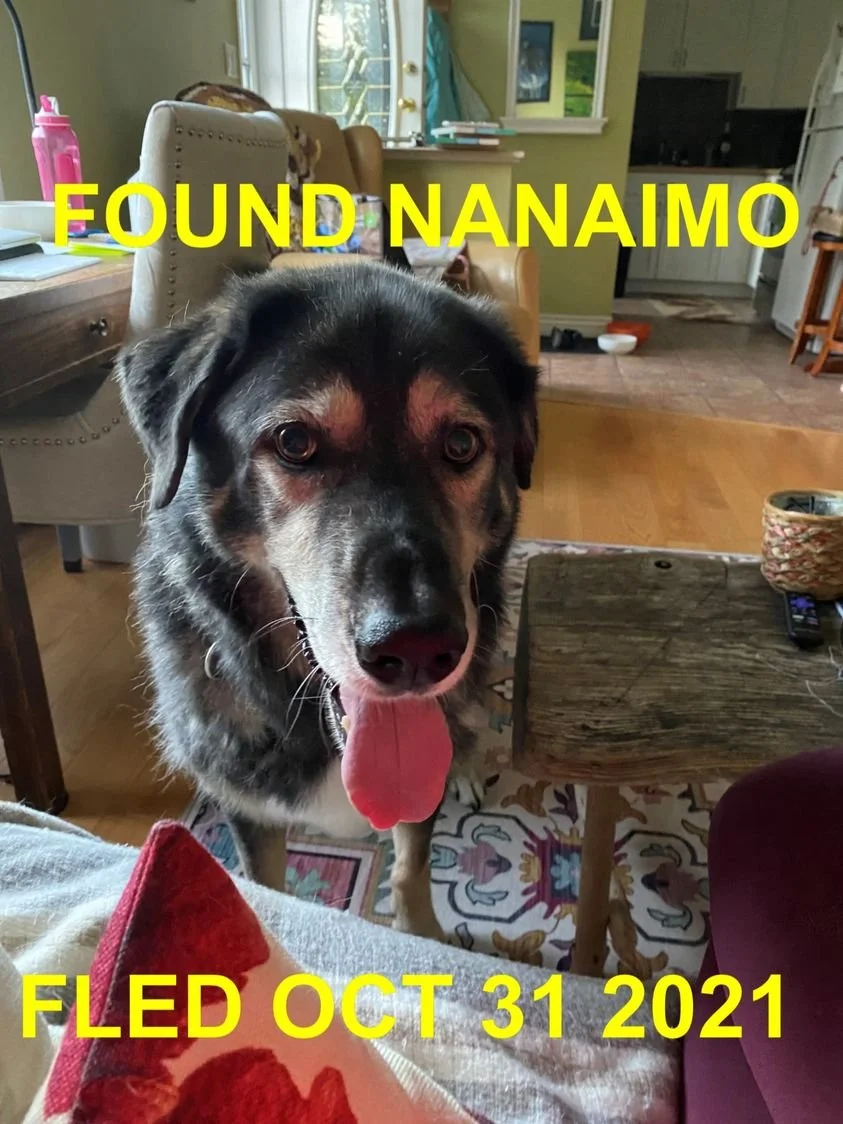 HAPPY ENDINGS / GONE TO SHELTER - NANAIMO BC. - OCT. 31, 2021