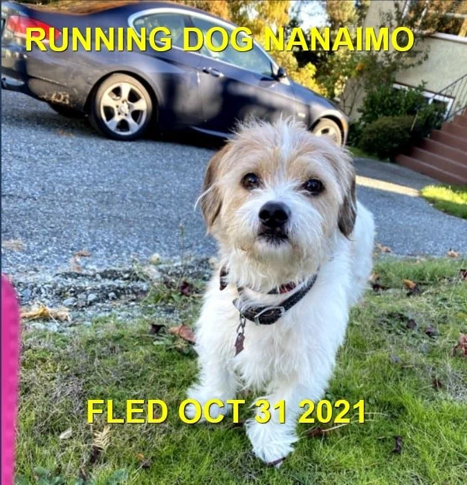 HAPPY ENDINGS - NANAIMO BC. - OCT. 31, 2021