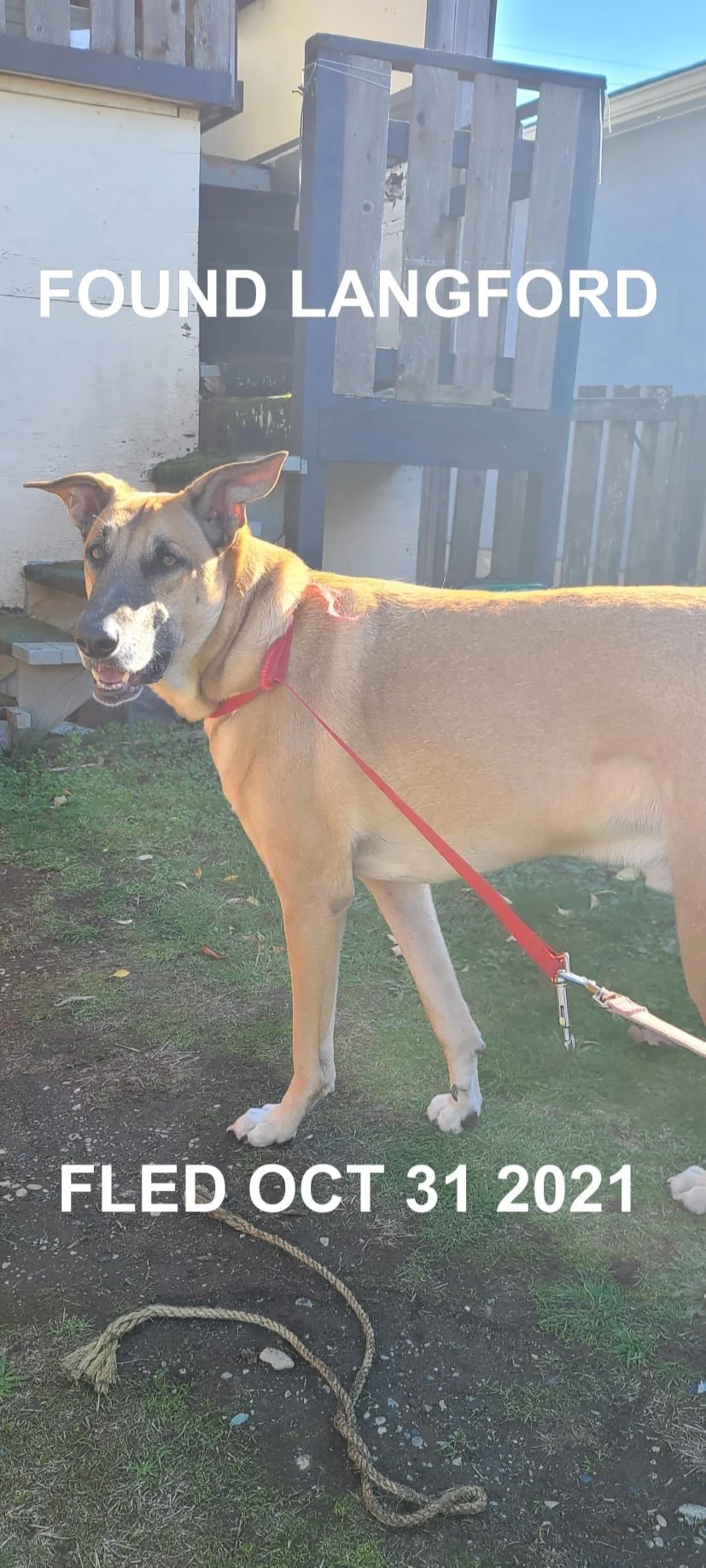 HAPPY ENDINGS - LANGFORD BC. - OCT. 31, 2021