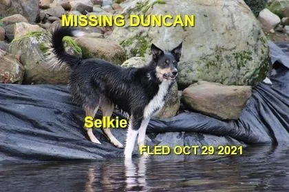 HAPPY ENDINGS - DUNCAN BC.- SELKIE - OCT 29, 2021