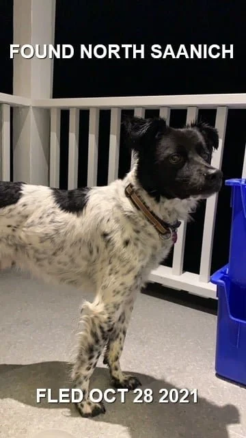 HAPPY ENDINGS - NORTH SAANICH BC - OCT. 28, 2021