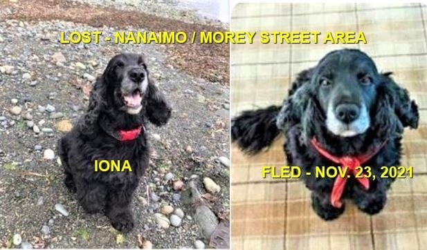 HAPPY ENDINGS - NANAIMO BC - IONA / NOV. 23, 2021