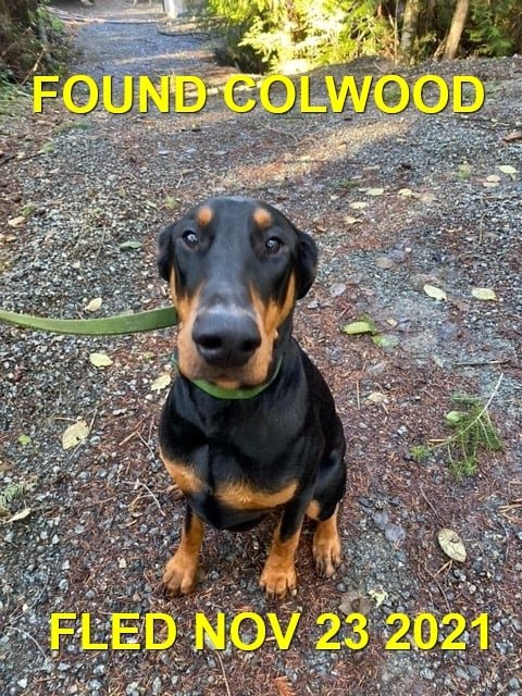 HAPPY ENDINGS - COLWOOD BC. - NOV. 23, 2021